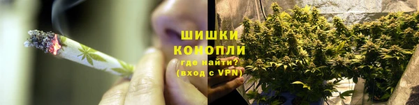 ГАЛЛЮЦИНОГЕННЫЕ ГРИБЫ Майский