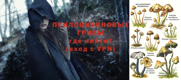 ГАЛЛЮЦИНОГЕННЫЕ ГРИБЫ Майский