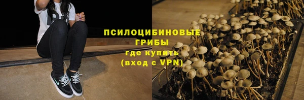ГАЛЛЮЦИНОГЕННЫЕ ГРИБЫ Майский