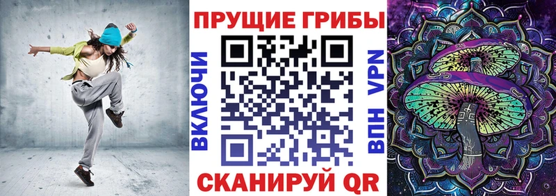 купить цена Дорогобуж Псилоцибиновые грибы Psilocybine cubensis